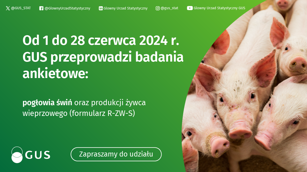 Badanie pogłowia świń oraz produkcji żywca wieprzowego (R-ZW-S)